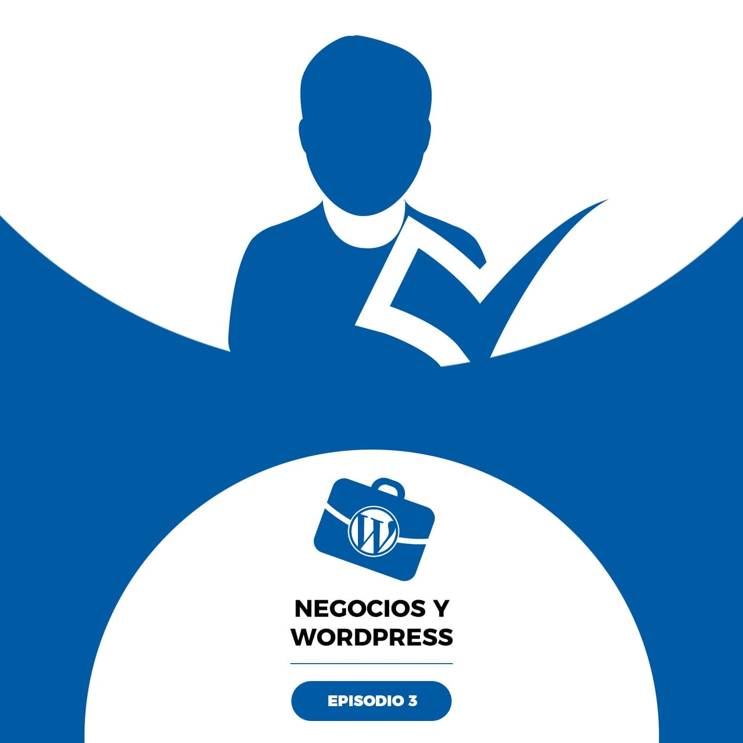 03. ¿Eres realmente un profesional en WordPress?