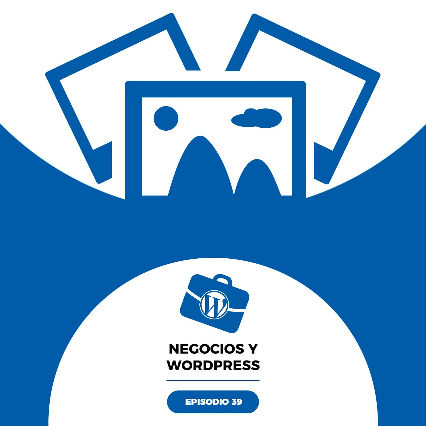 Negocios y WordPress