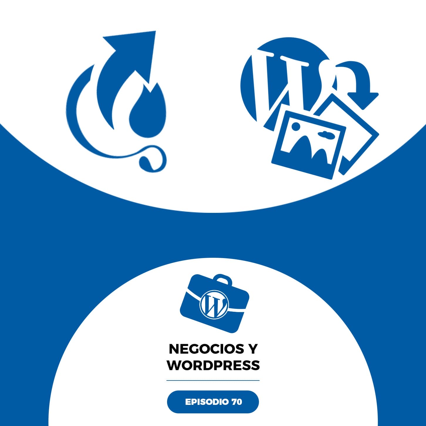 Negocios y WordPress