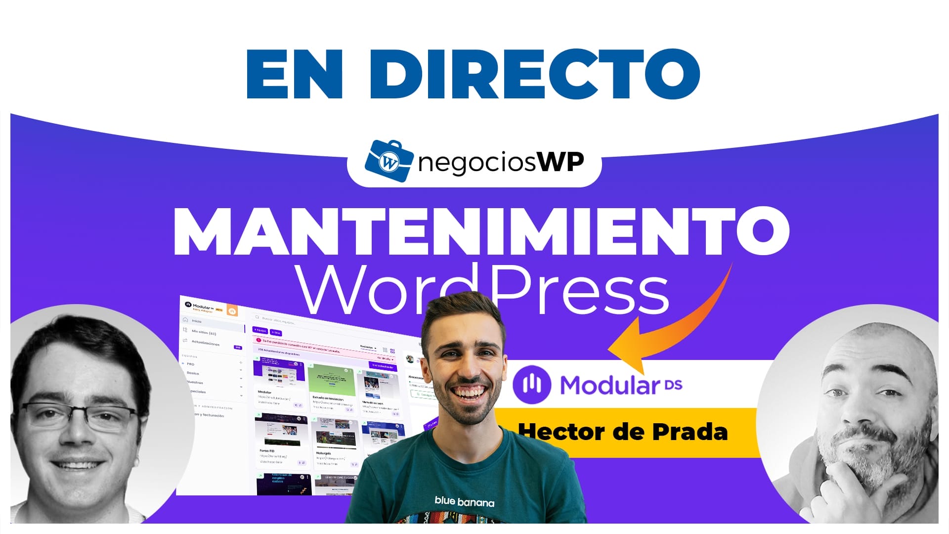Negocios y WordPress
