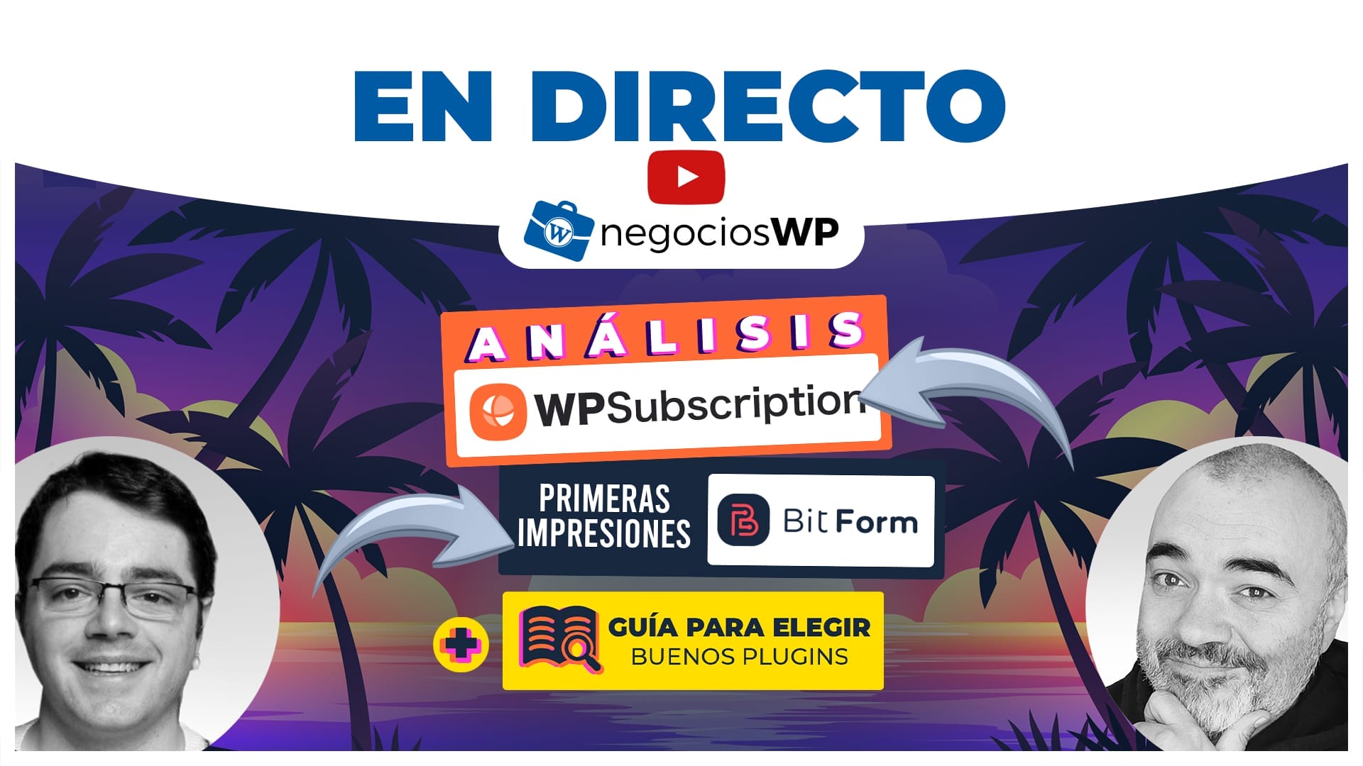 235. WPSubscription, Bit Form y GUÍA para elegir buenos plugins